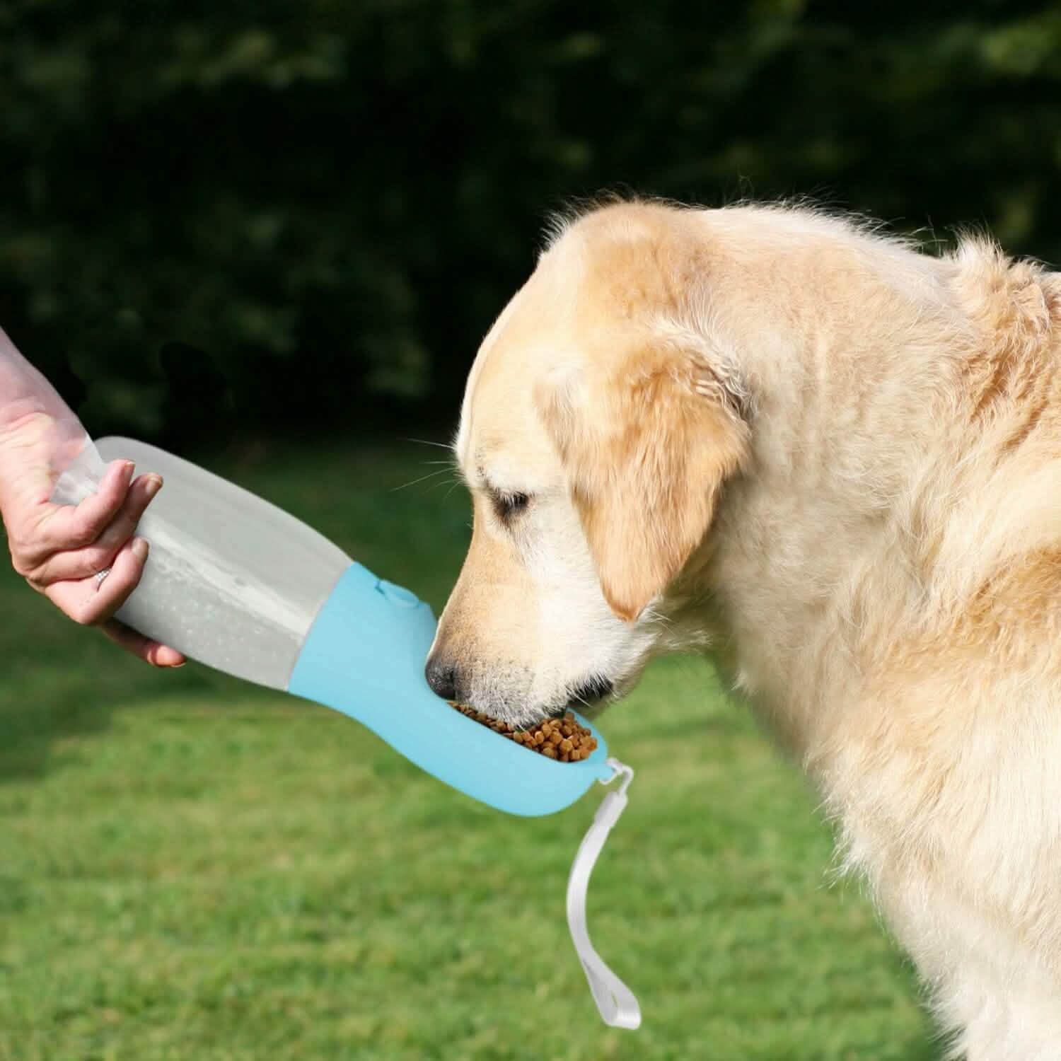 18.6 oz Portable Dog Water Dispenser with Detachable Food Container