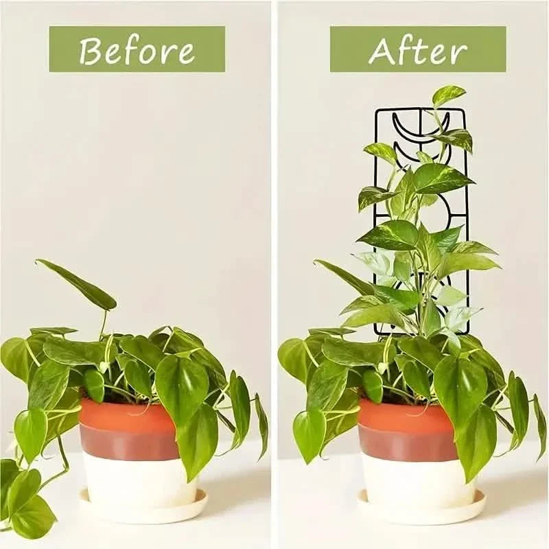 2-Pack: Metal Plant Trellis for Climbing Plants Indoor