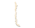 Unfinished Wood Chile Country Shape - South America Craft - up to 46" DIY