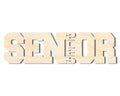 Unfinished Wood 2025 Senior Shape | DIY Craft Cutout | up to 46" DIY