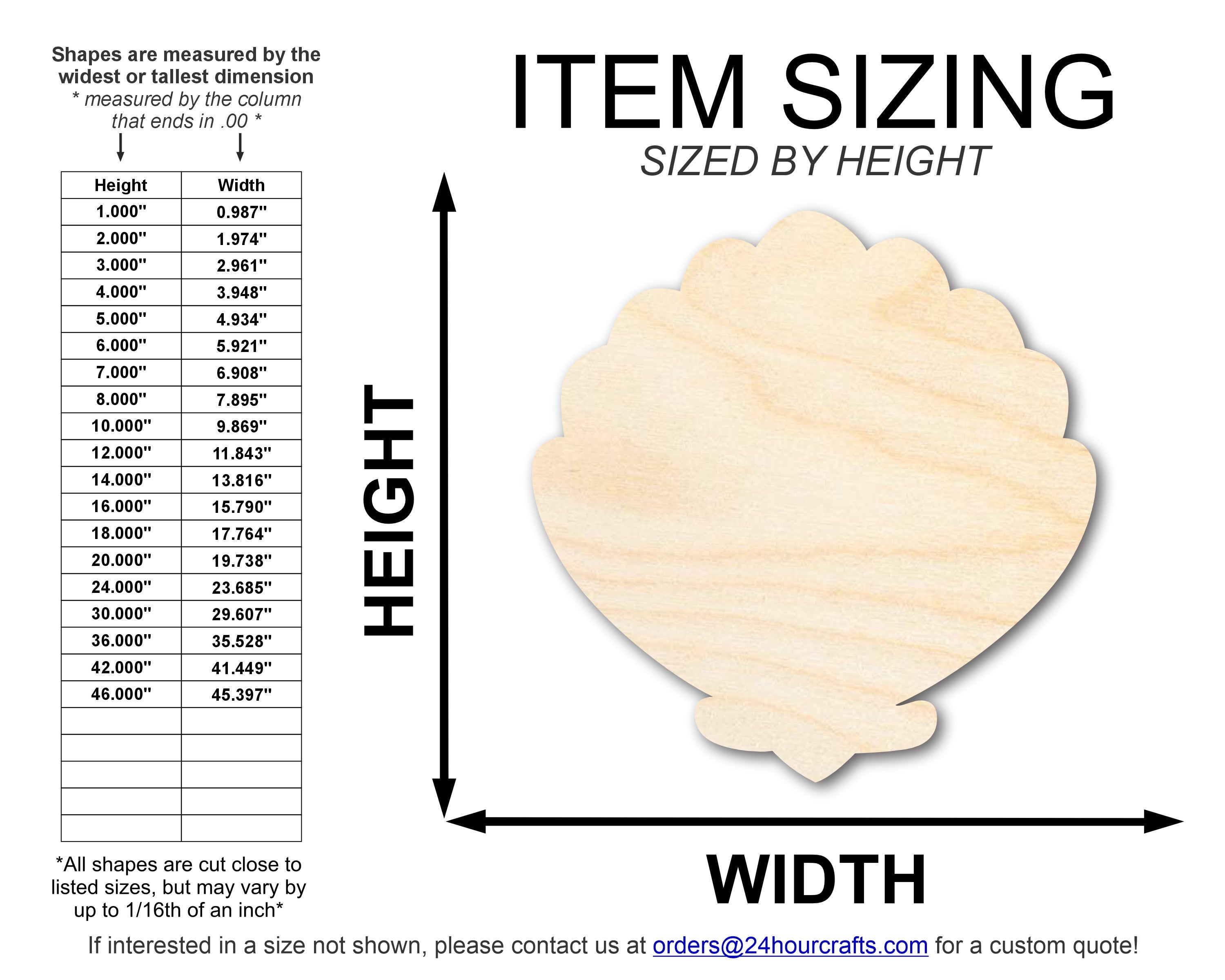 Unfinished Wood Clam Sea Shell Shape | DIY Craft Cutout | up to 46" DIY