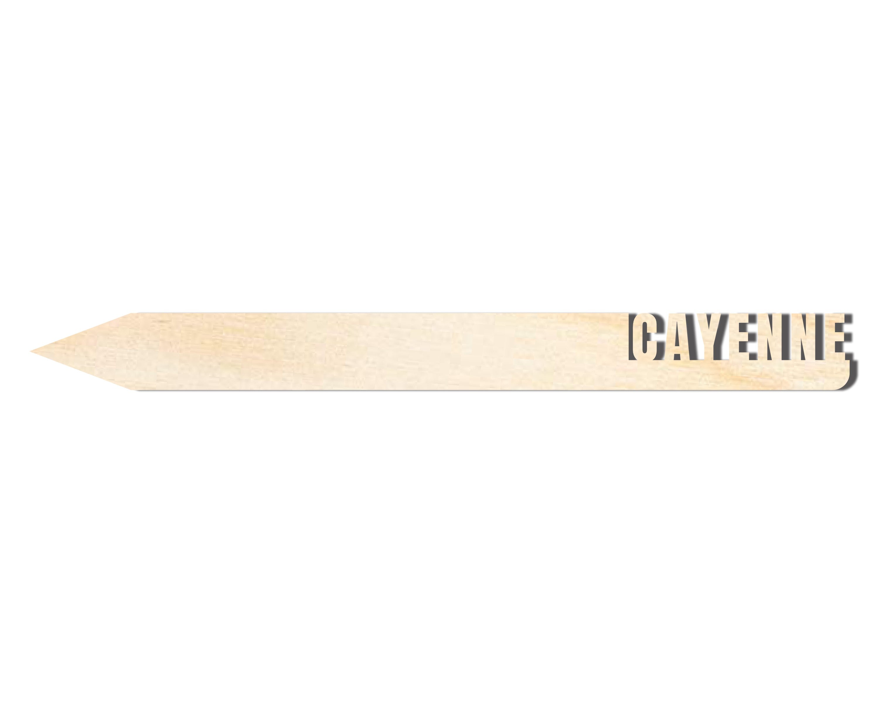 Unfinished Wood Cayenne Garden Stake | DIY Craft Cutout | up to 24" DIY