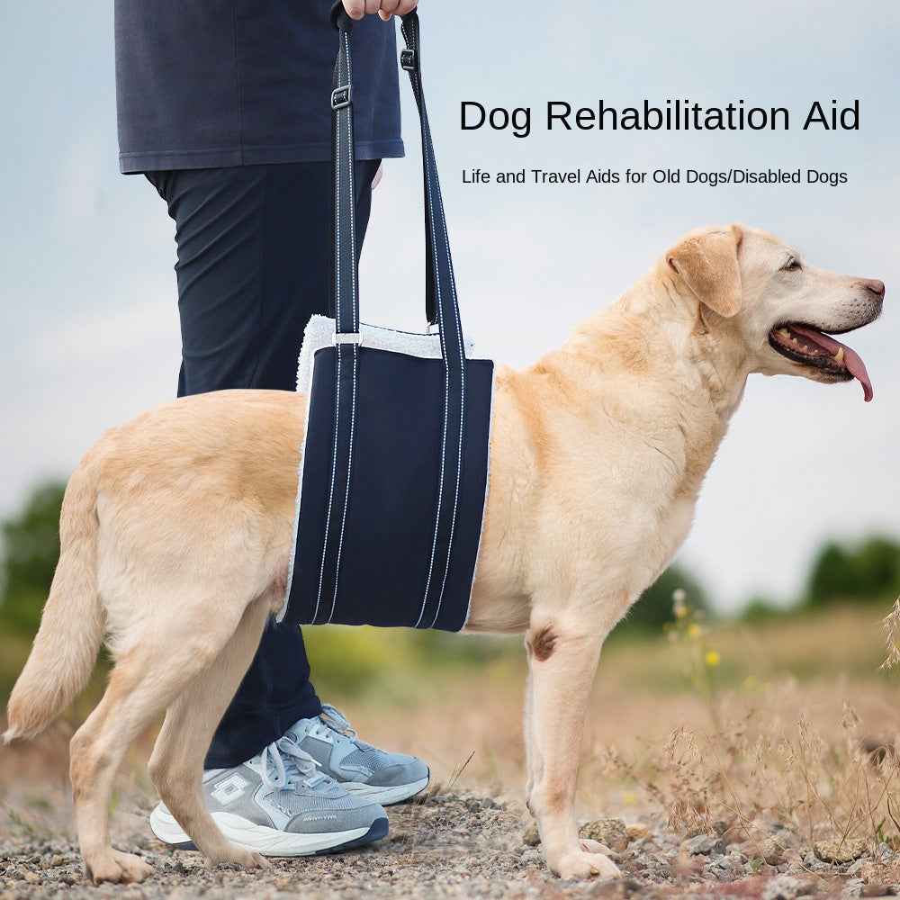 Adjustable dog leash with pet assistance strap