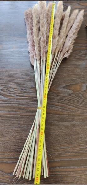 30/50pcs Bulrush Natural Dried Small Pampas Grass Artificial Decor Wedding Flower Bunch Home Office  Floor Vase Filler for Living Room Kitchen And Event Decoration