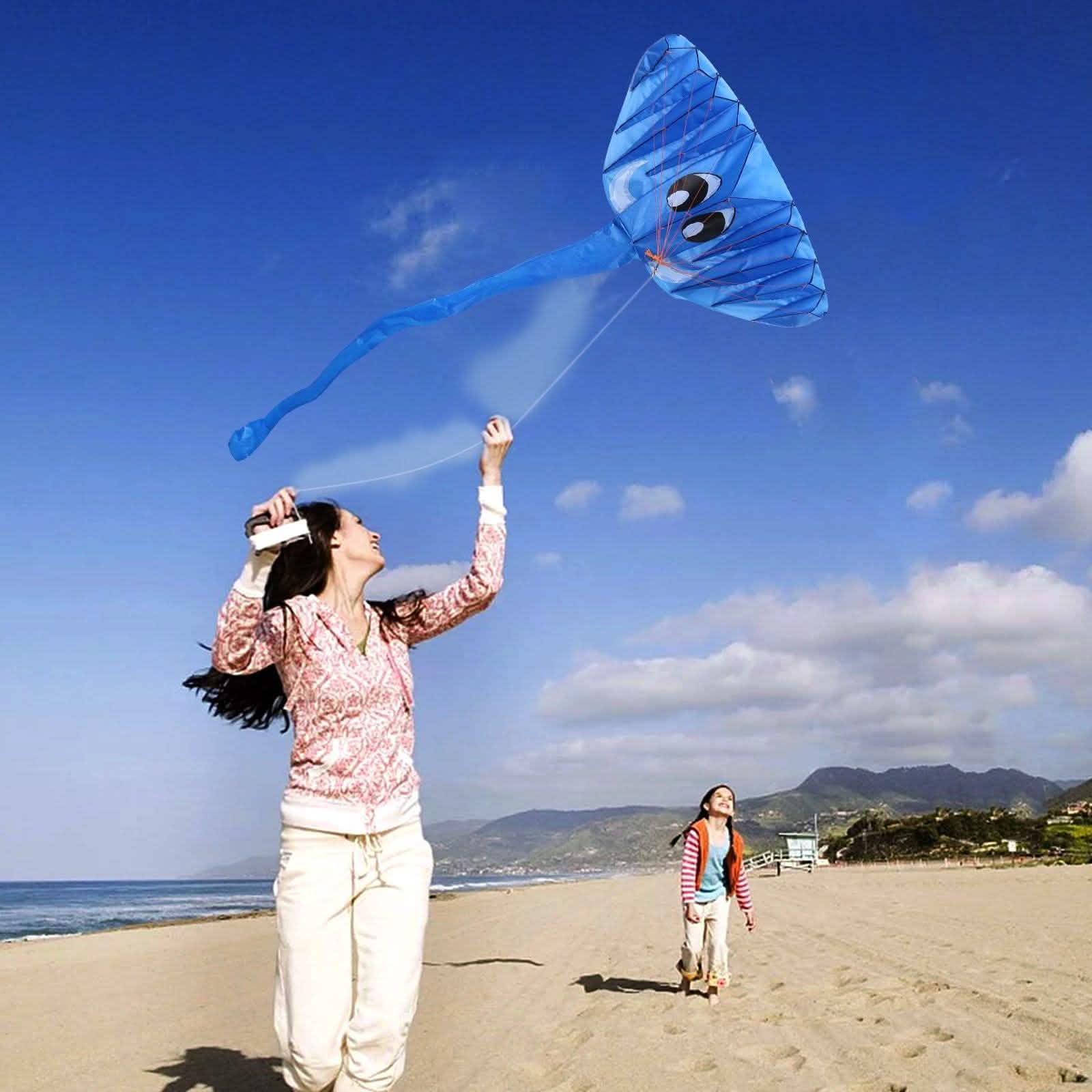 3D Kite Frameless Soft Giant and Parafoil