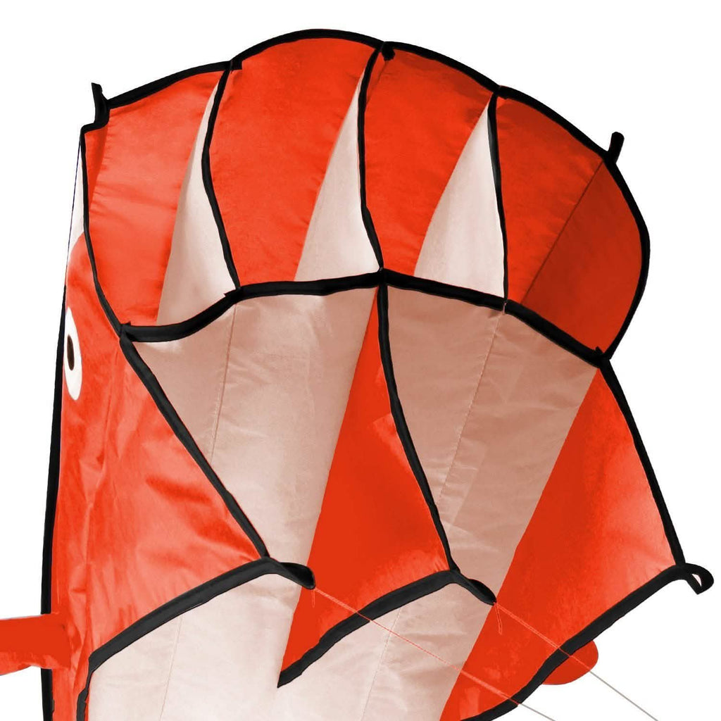 3D Kite Huge Frameless Soft Parafoil Giant Dolphin