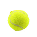 Dog Toy Rubber Elastic Tennis Ball Small and Medium sized Dog Bite Dog Toy