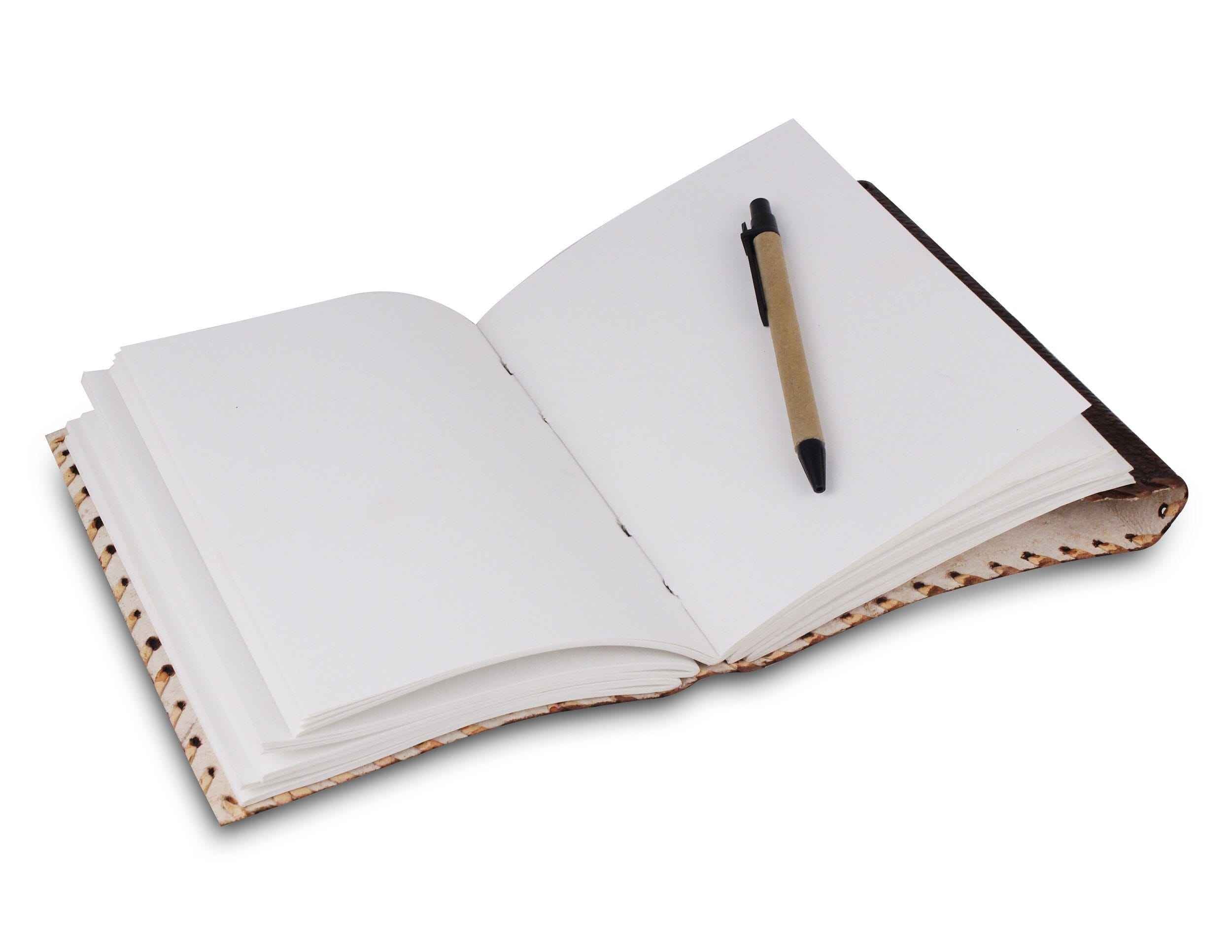 The Mohenjo-daro Journal