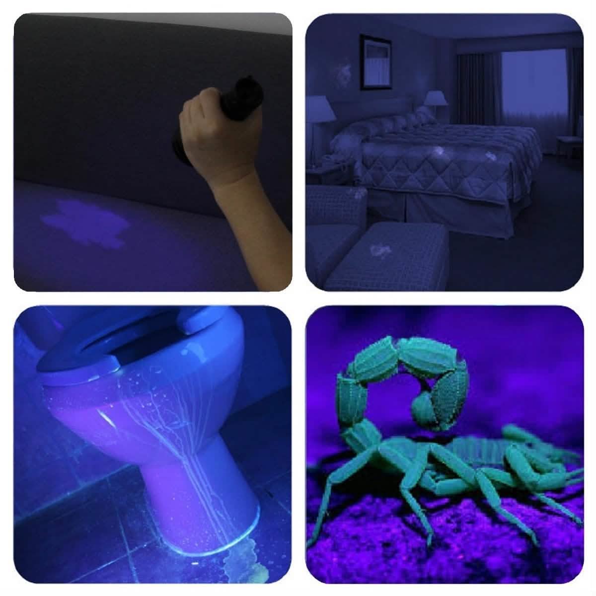 51 LED Ultraviolet Blacklight