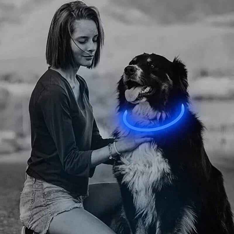 3-Mode LED Dog Collar - USB Rechargeable, Detachable & Glowing Pet Safety Necklace for Night
