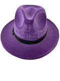 Fedora-Purple