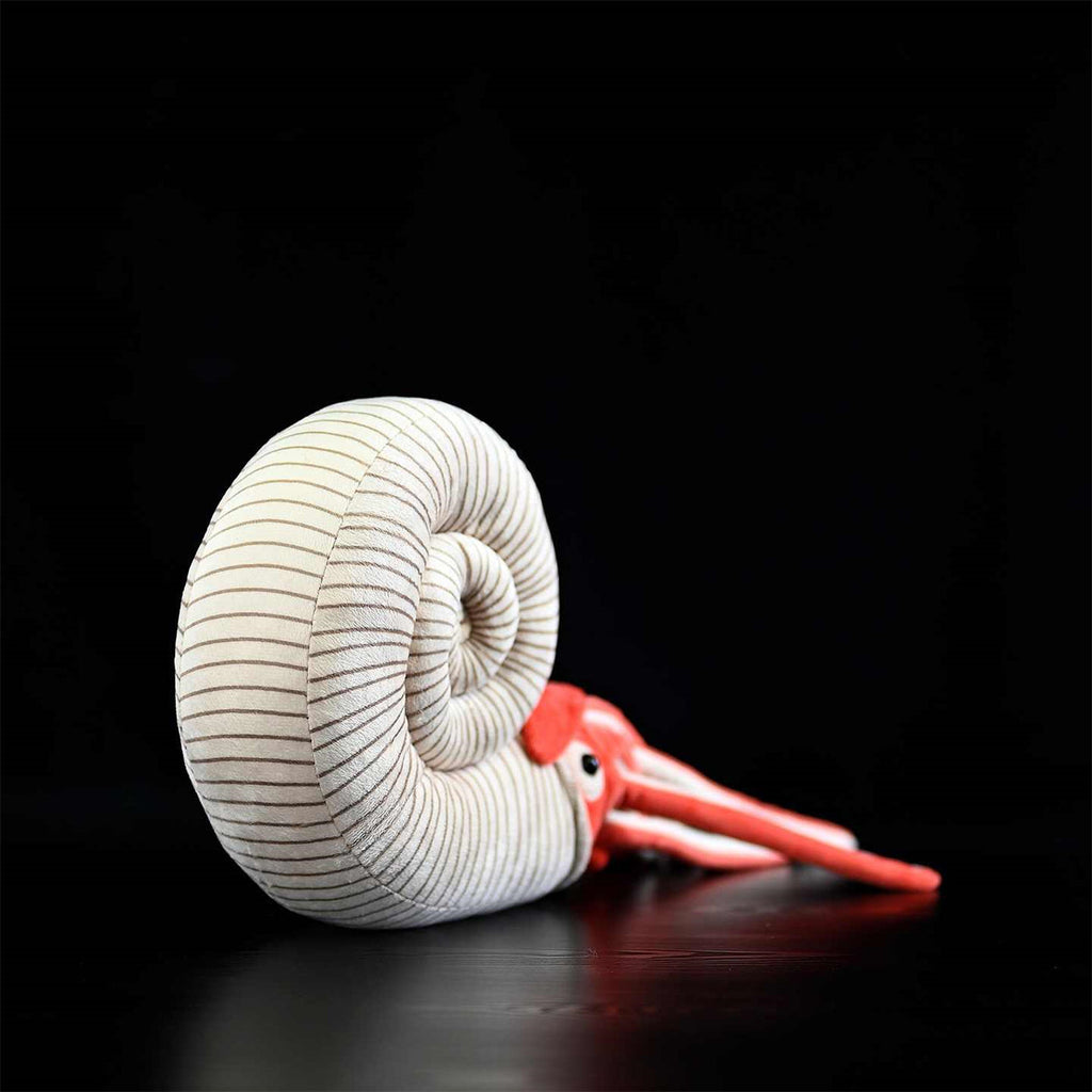 Paleontology Series Ammonite Plush Toys