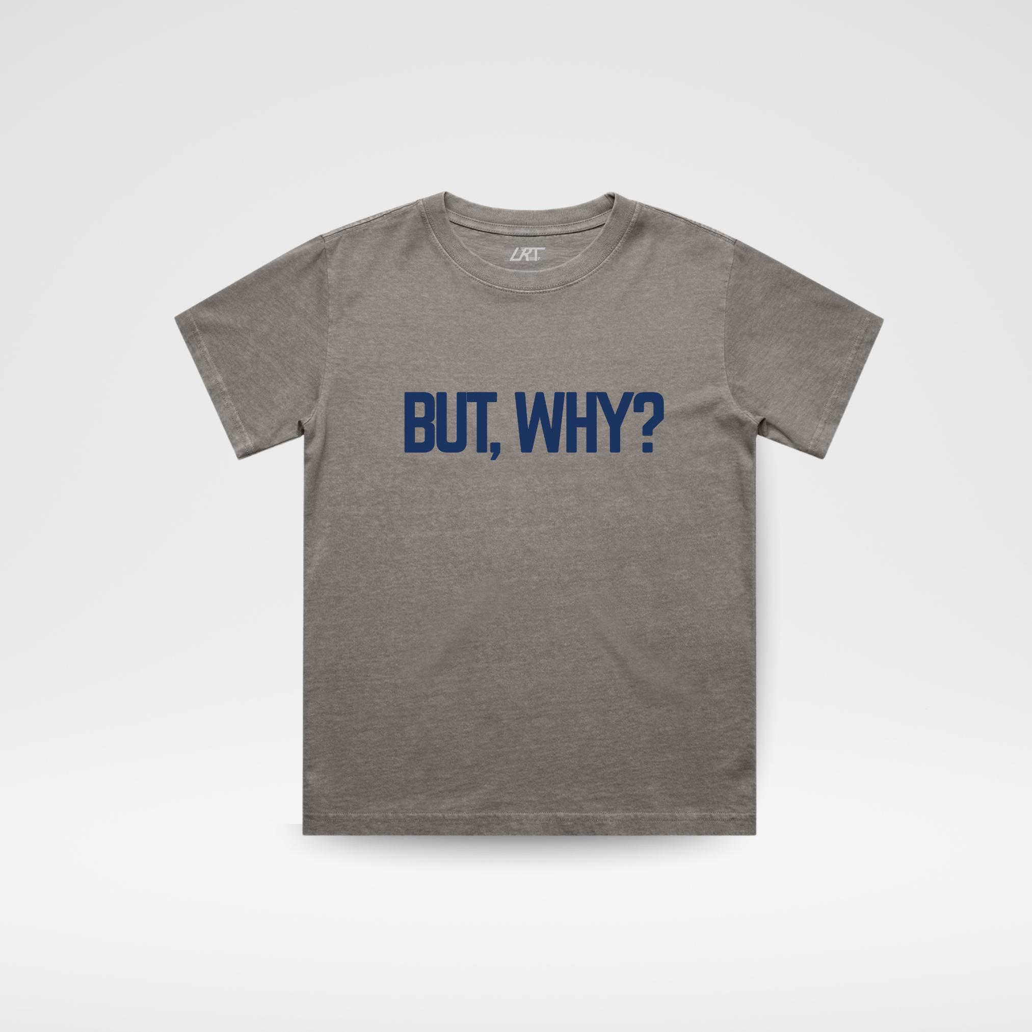 BUT, WHY? TEE - FADED GRAY - EveryNest