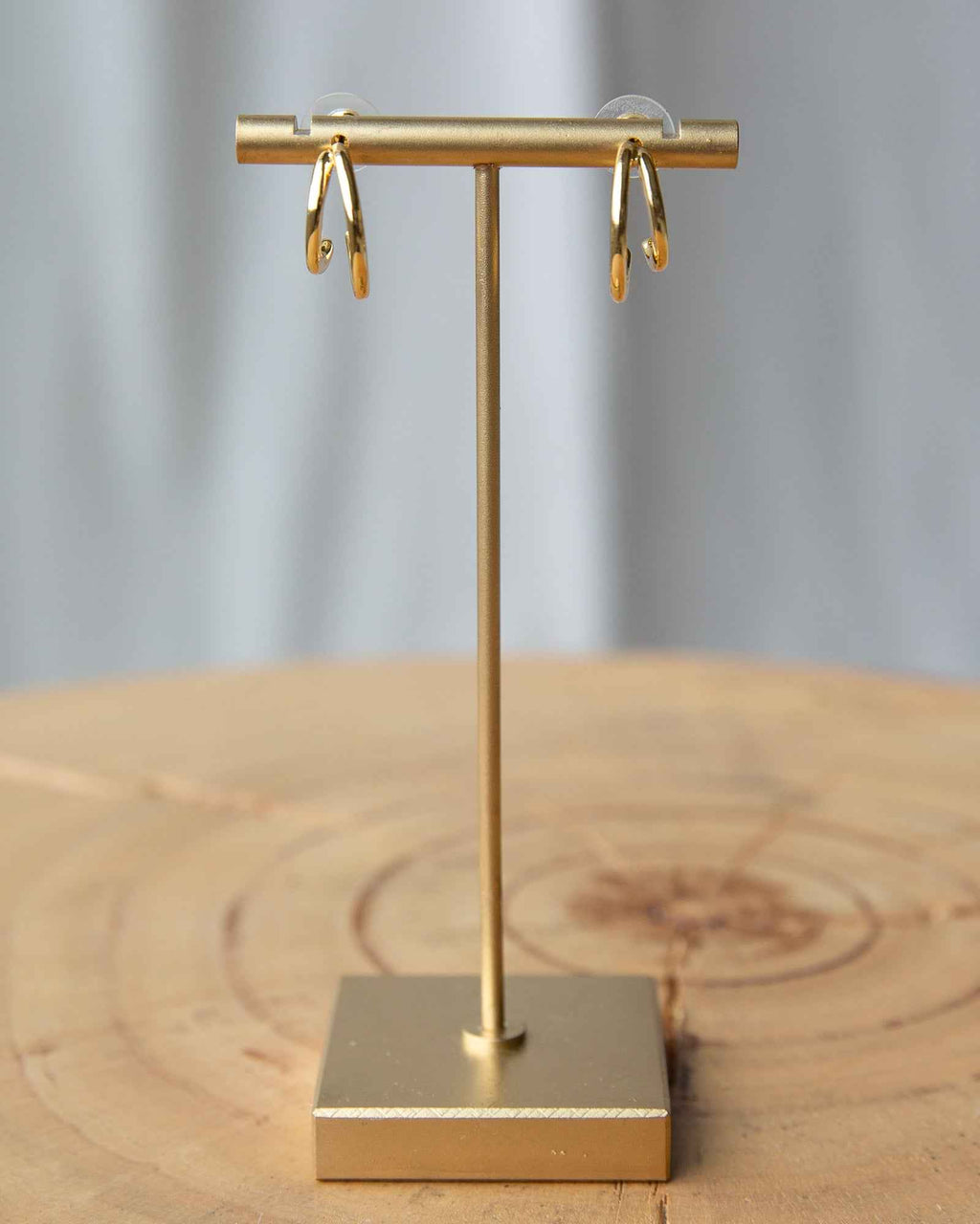 Double Hoop Earrings