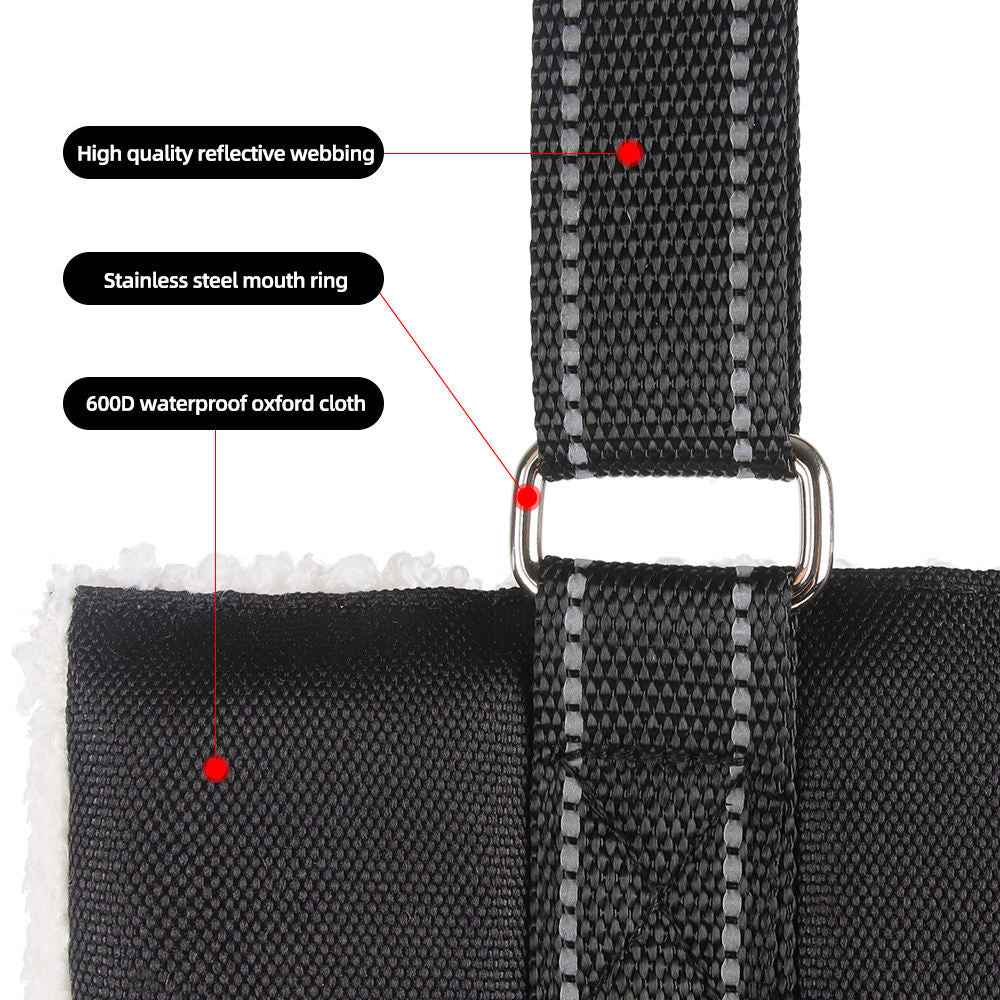 Adjustable dog leash with pet assistance strap