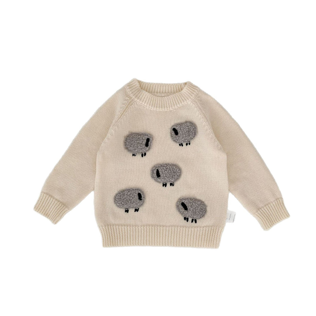 Autumn And Winter Infant Cotton Men's And Women's Terry Pullover Woolen Top