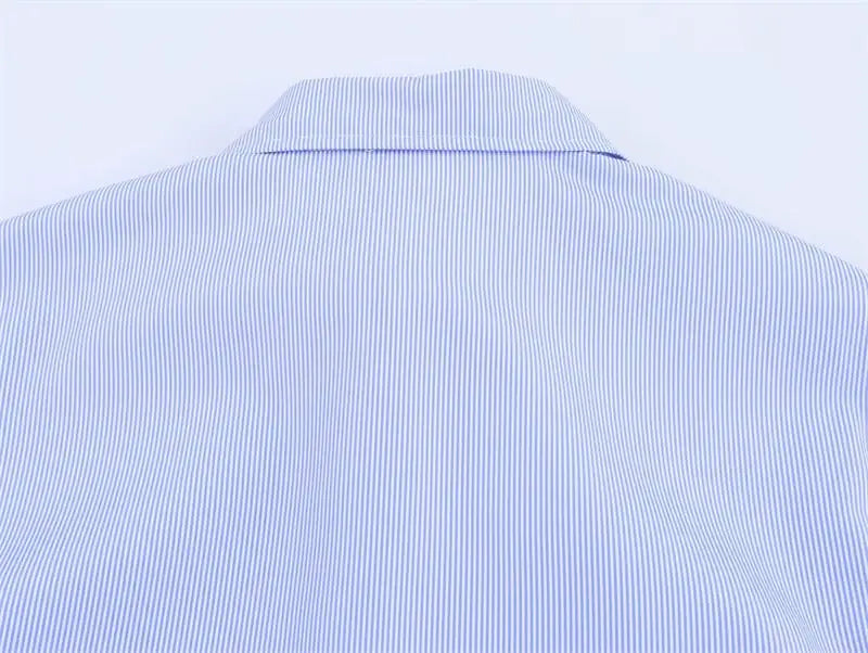 Spring Shirts Tops Women's 2025 New Chic Striped Slim Elegant Office Women's Shirt Fashion Street Youth Long-Sleeved Shirt