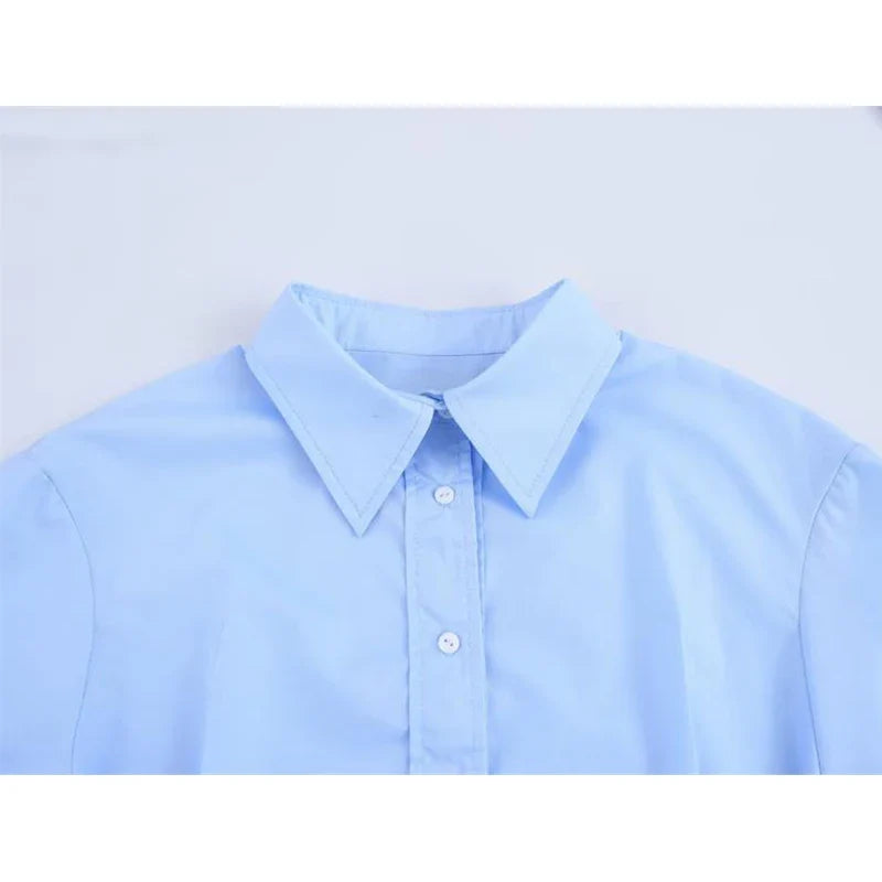Spring Shirts Tops Women's 2025 New Chic Striped Slim Elegant Office Women's Shirt Fashion Street Youth Long-Sleeved Shirt