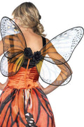 Monarch Butterfly Wings