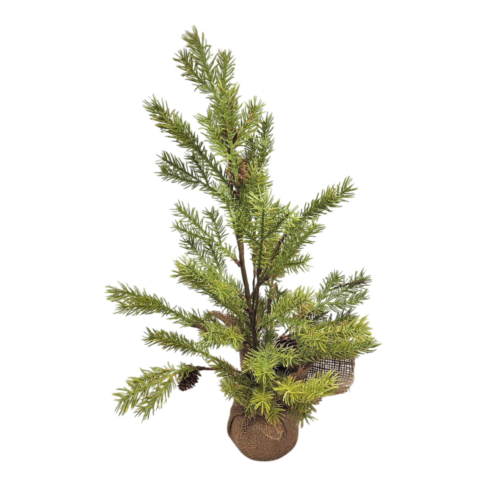 Lush Evergreen Tree - 21 Inch