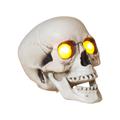 Lighted Halloween Skull with Sound