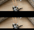 Creative Insect Keychain Set