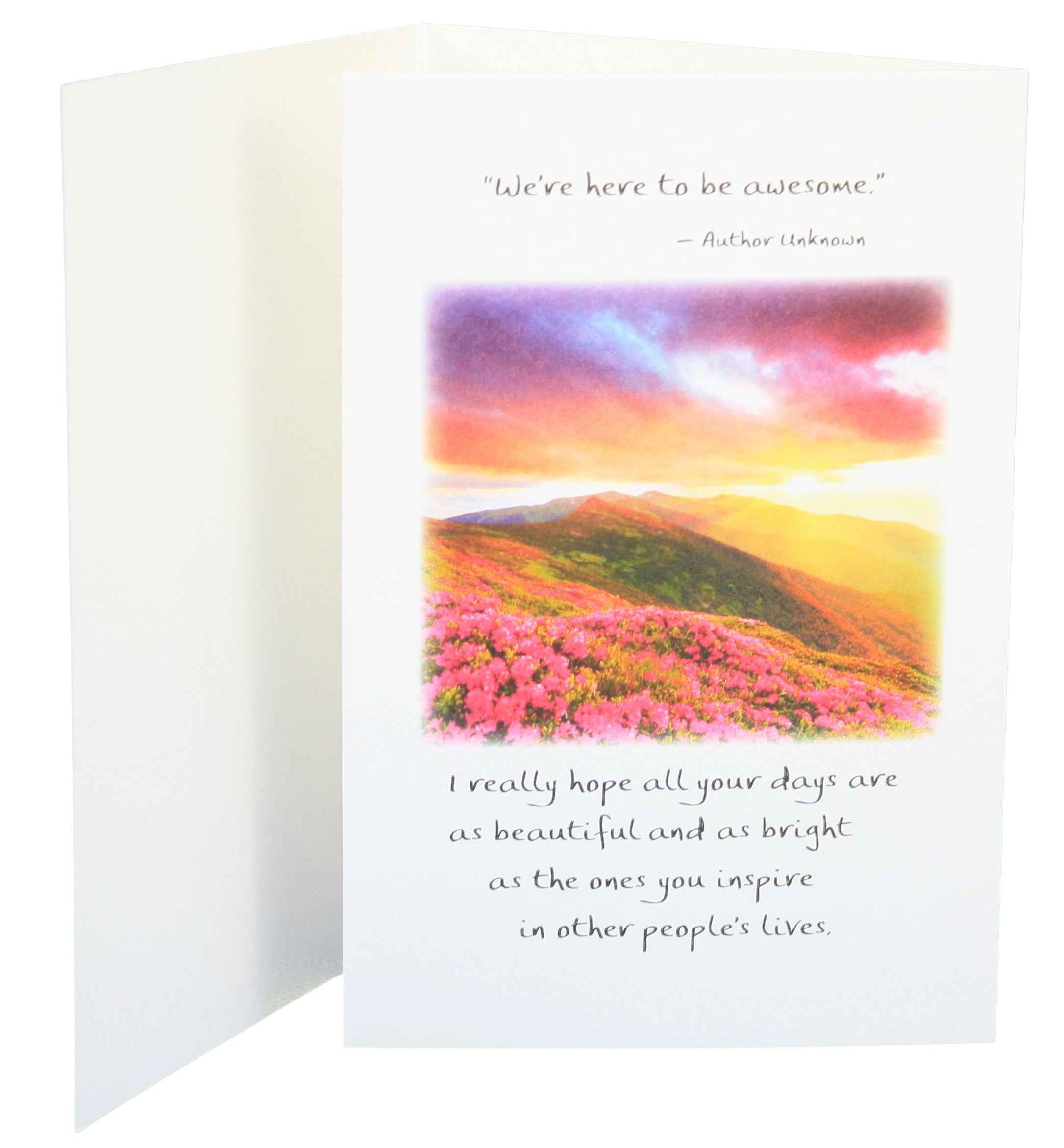 You are One Amazing Lady Greeting Card