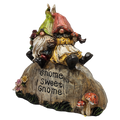 Garden Gnomes on a Rock  - 8 Inch - Gnome Sweet Gnome