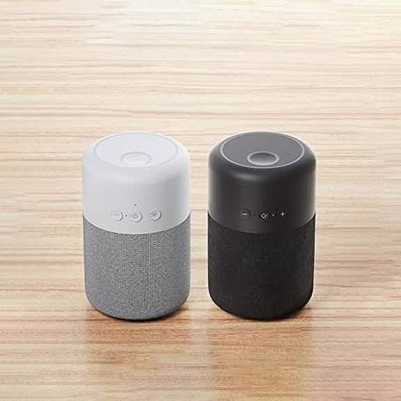 Bluetooth Speakers and Wireless Earbuds Combo