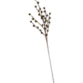 Berry Cluster - 19 Inch - Maroon and Olive