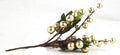 9" Berry Spray - Gold