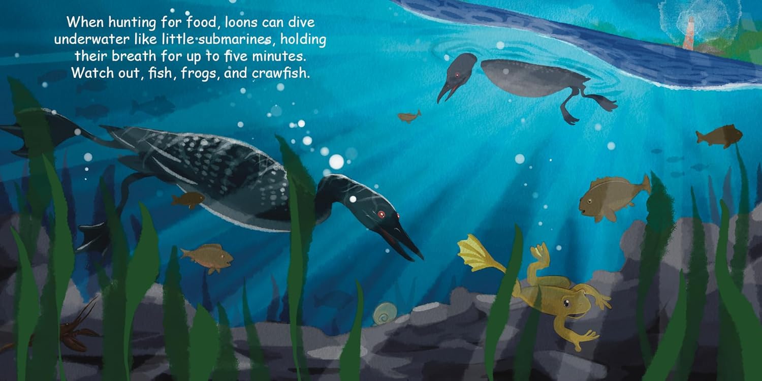 Good Night Board Book - Loons