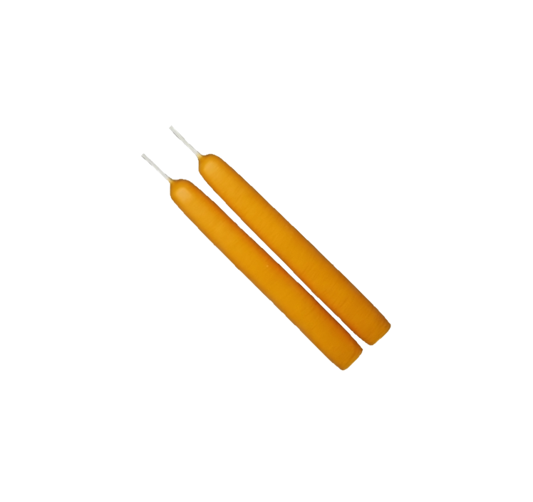 Mole Hollow Taper Pair (Yellow Gold) -