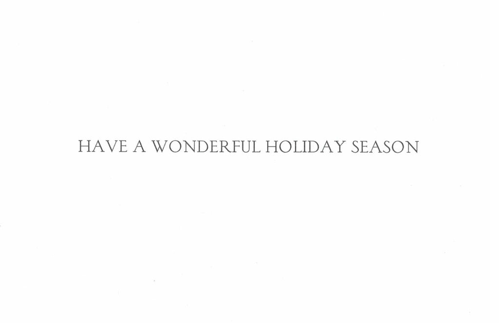 Elegant Boxed Cards - Snowy Seasons Greetings