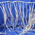 Birch Look Led Garland