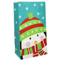 Paper Small Treat Sacks - Set of 10 - Penguin