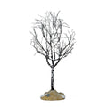 Butternut Tree - 7 inches