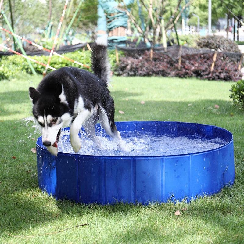 Foldable Dog Pool Pet Bath Swimming Tub Bathtub Outdoor Indoor Collapsible Bathing Pool for Dogs Cats Kids Pool Pet Bathing Tub Dog Pool Big Size Dog Swimming Pool Foldable Pet Pool Bath Swimming Tub Bathtub Pet Collapsible Bathing Pool for Dogs