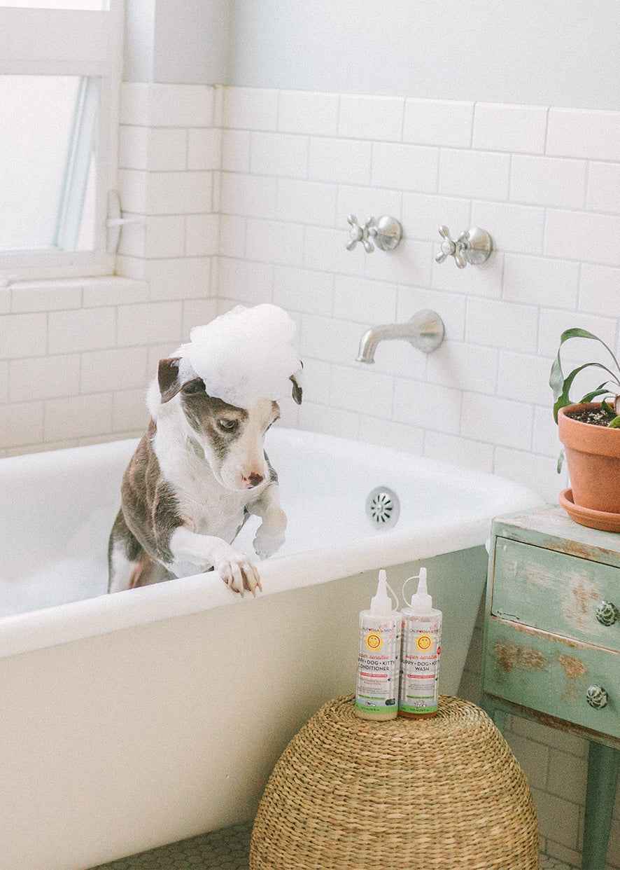 (No Fragrance) Super Sensitive™ Puppy + Dog + Kitty Conditioner