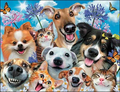 Notion - Pet Smile Birthday Card