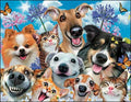 Notion - Pet Smile Birthday Card