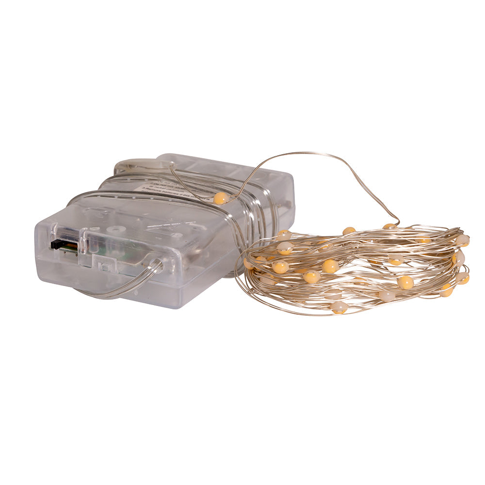 50-Light Battery-Operated Classic White Superbright LED Light Set - Clear Wire