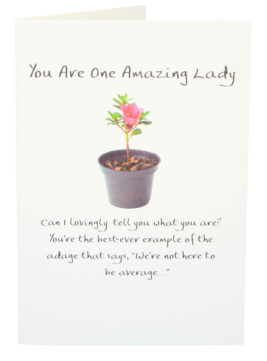 You are One Amazing Lady Greeting Card