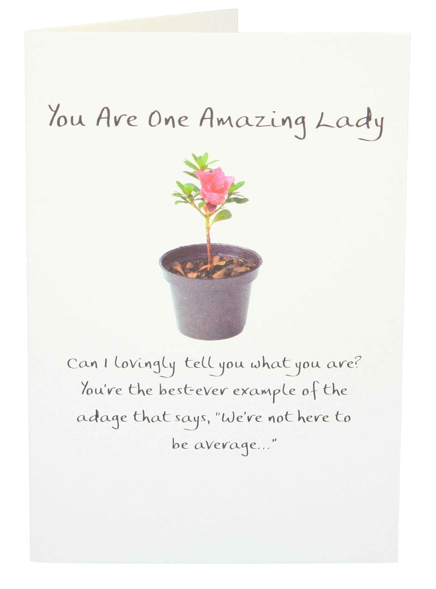 You are One Amazing Lady Greeting Card