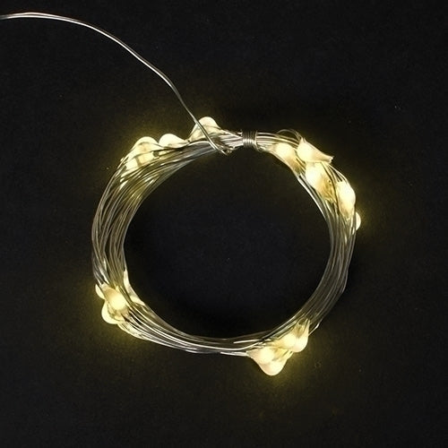 USB 100 LED (32 foot) Multifunction Starry Lights - Warm White
