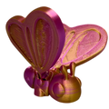 Butterfly  - Brights Color