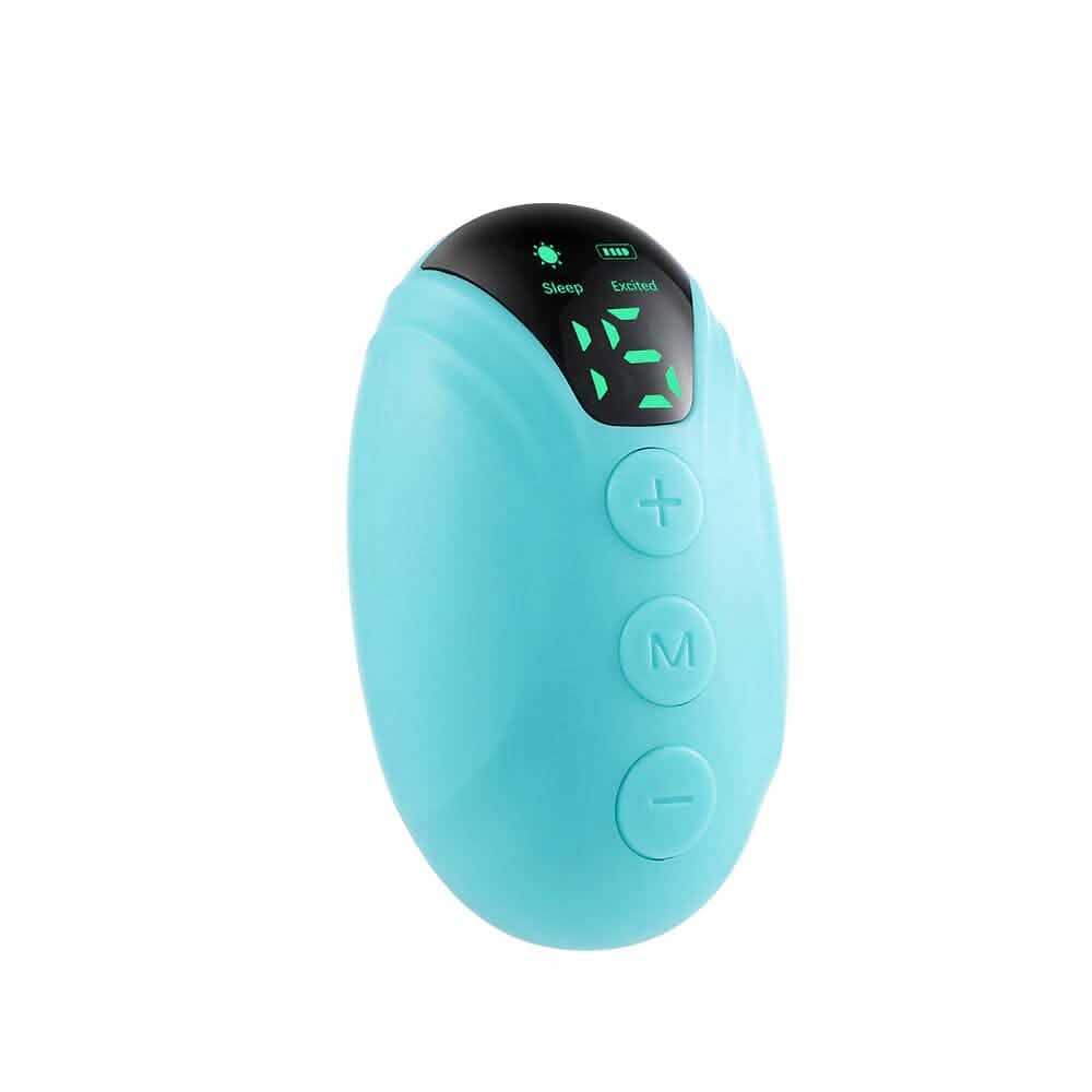 Handheld Sleep Instrument