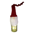 Lighted Bottle with Fabric Gnome -