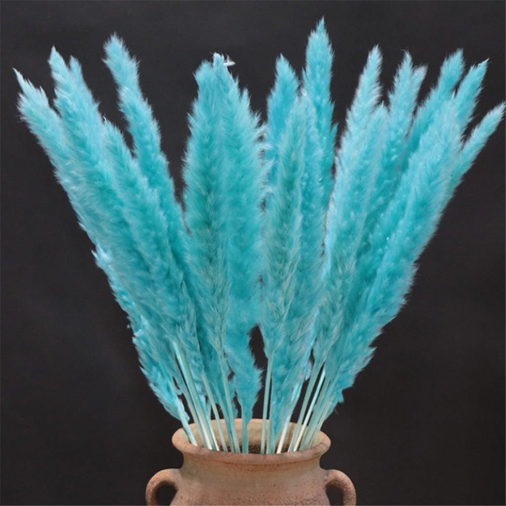 Home Store Wedding Bulrush Natural Dried Flowers Small Pampas Grass Phragmites Communis Decoration for Floor Vase Filler for Living Room Kitchen Decor