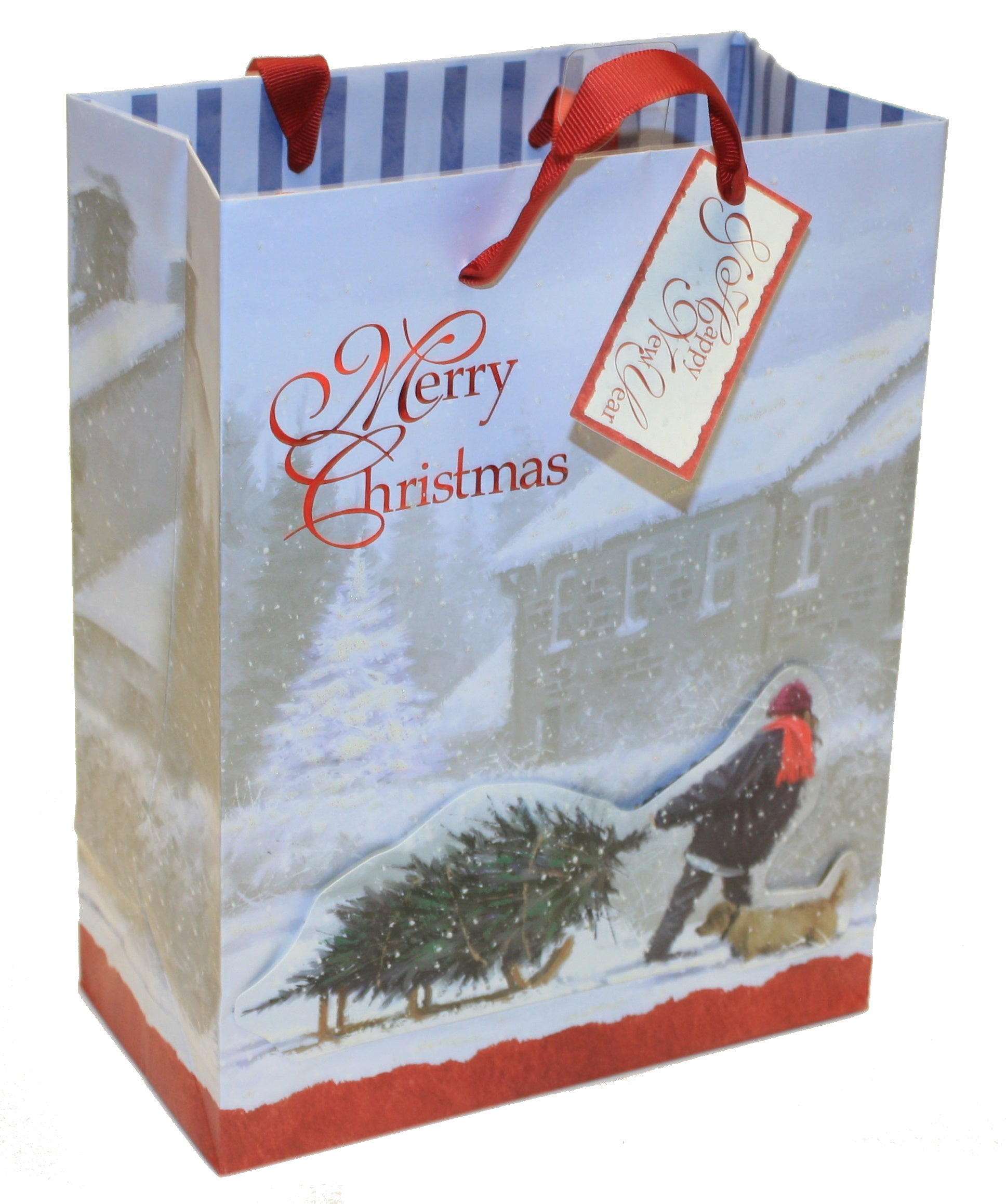 Traditional Medium Handmade Gift Bags - Glee